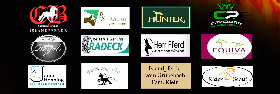 Sponsoren.png