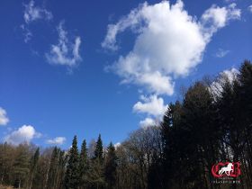 IMG_0949.jpg