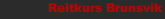 Reitkurs Brunsvik 